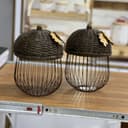 جاگردویی بلوط کد 1721