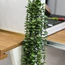 آویزشمشاد کد ۱۶۹۳