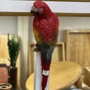 طوطی پلی استر کد 1720